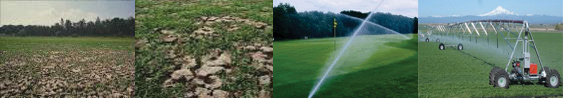 irrigation