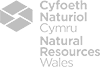 NatResourcesWales